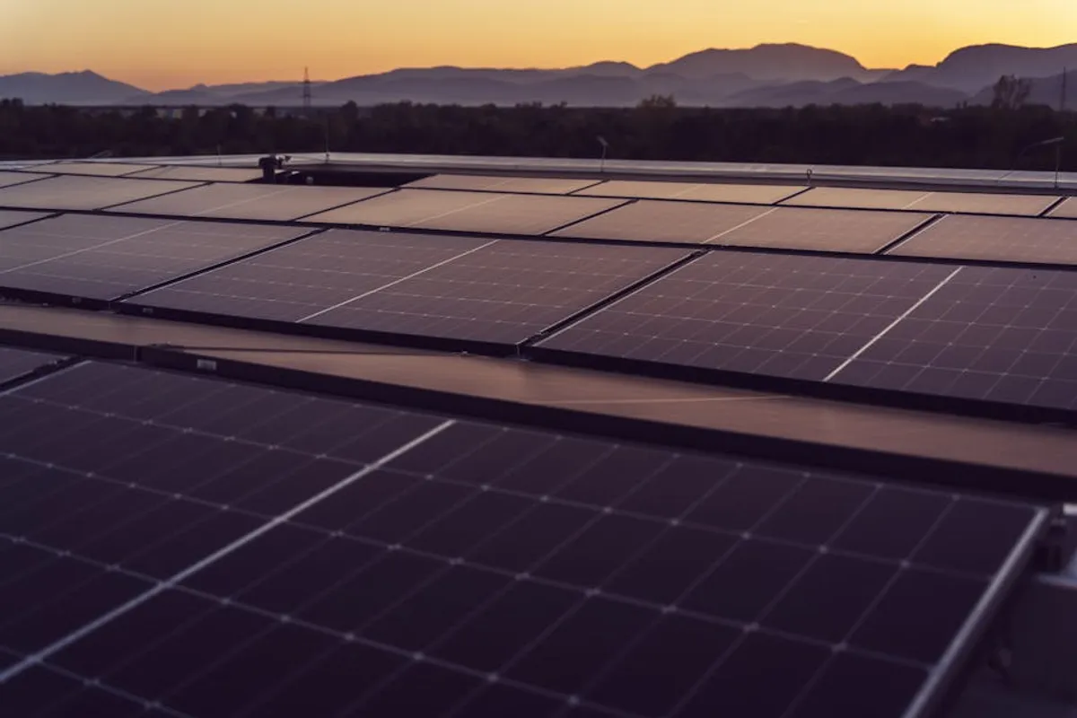Carbon Reduction Strategies for Industrial Companies